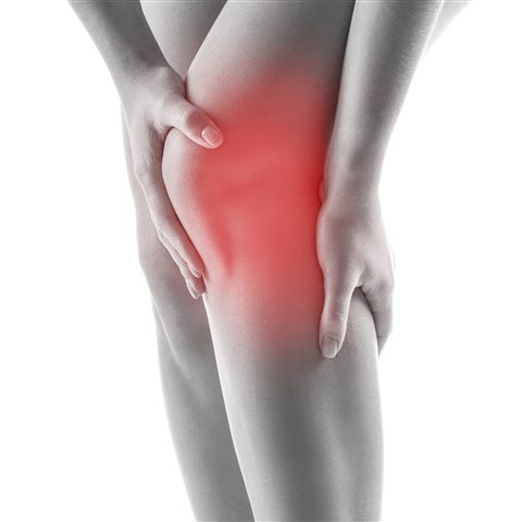 Knee pain area